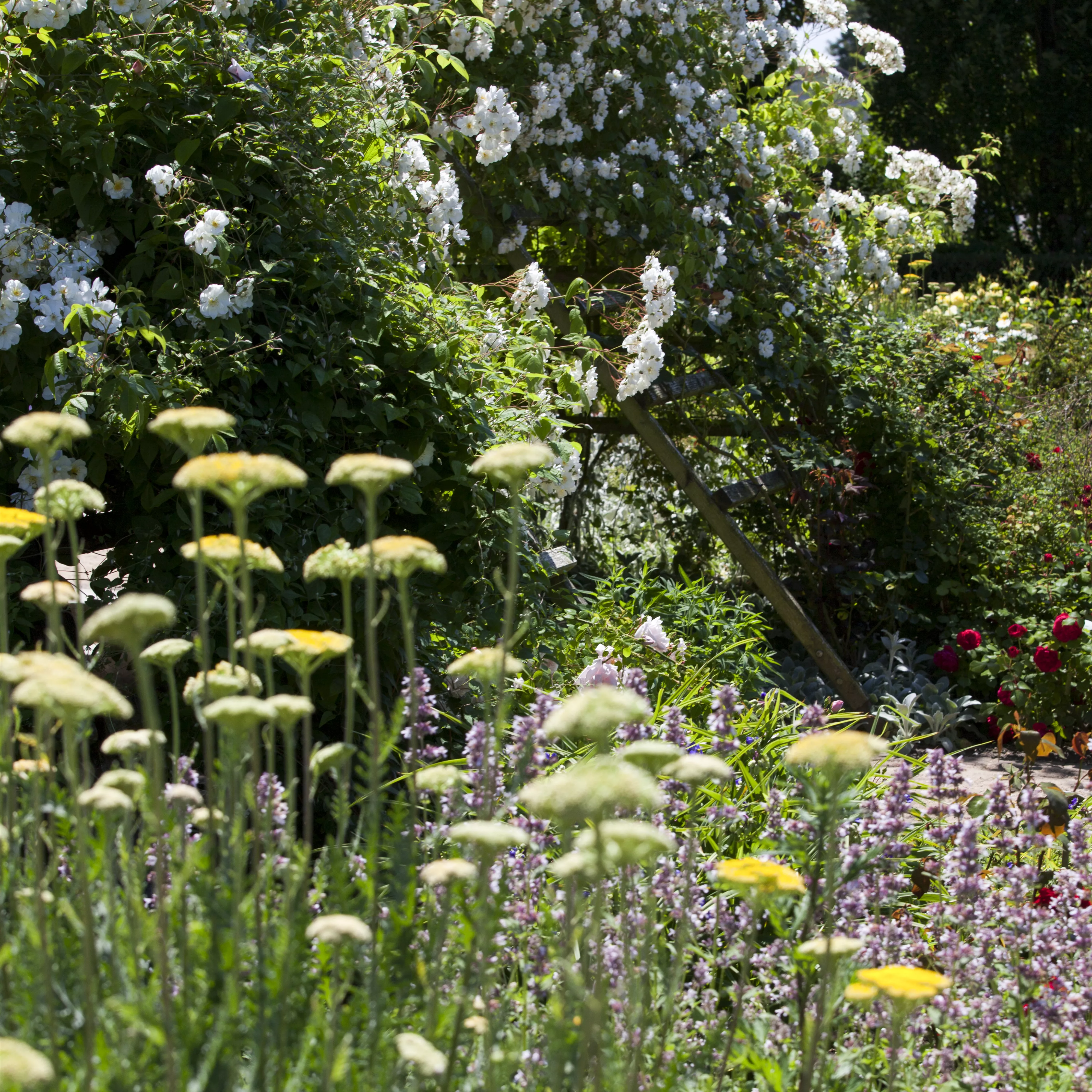 Lauschige Ecken im Garten