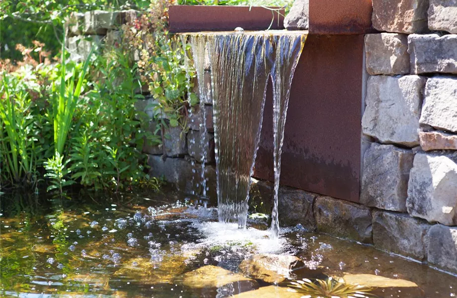 Der Wassergarten 