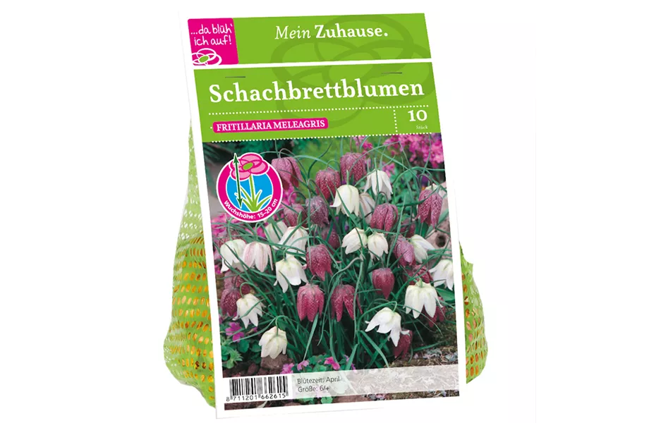 Blumenzwiebelzauber im Frühjahr