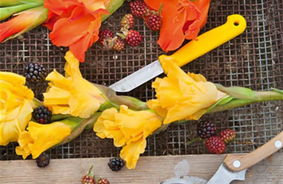 Lange Haltbarkeit für Blumensträuße